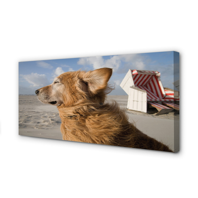 Canvas bild Brun strandhund