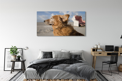 Canvas bild Brun strandhund