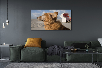 Canvas bild Brun strandhund