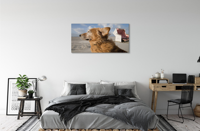 Canvas bild Brun strandhund