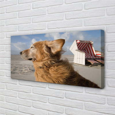 Canvas bild Brun strandhund