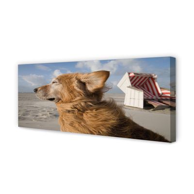 Canvas bild Brun strandhund