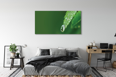 Canvas bild Löv vattendroppe