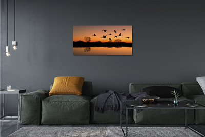 Fototryck canvas Flygande fåglar vid solnedgången