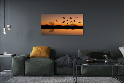 Fototryck canvas Flygande fåglar vid solnedgången