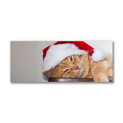 Canvas bild Katt tomtehatt jul