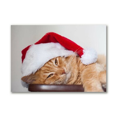 Canvas bild Katt tomtehatt jul