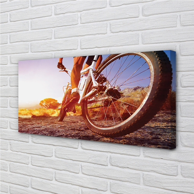 Fototryck canvas Cykelväg västerut