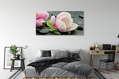 Canvastavla Magnolia stenar
