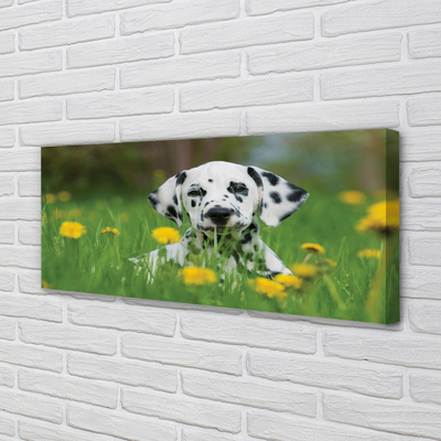 Fototryck canvas Hundäng