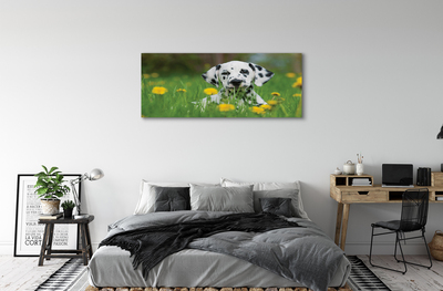 Fototryck canvas Hundäng