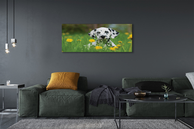 Fototryck canvas Hundäng