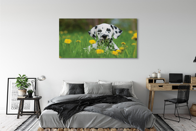 Fototryck canvas Hundäng