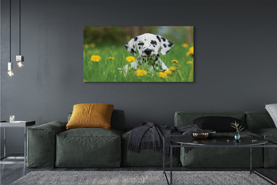 Fototryck canvas Hundäng