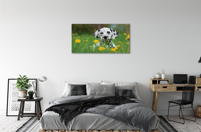 Fototryck canvas Hundäng