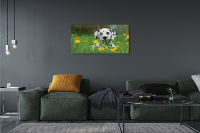 Fototryck canvas Hundäng