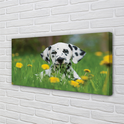 Fototryck canvas Hundäng