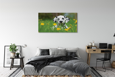 Fototryck canvas Hundäng