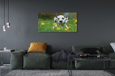 Fototryck canvas Hundäng