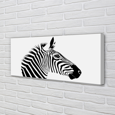 Fototryck canvas Zebra illustration