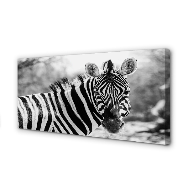 Bild canvas Retro zebra