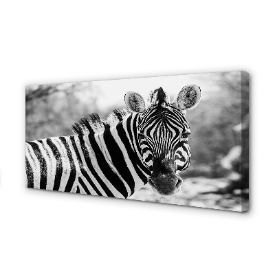 Bild canvas Retro zebra