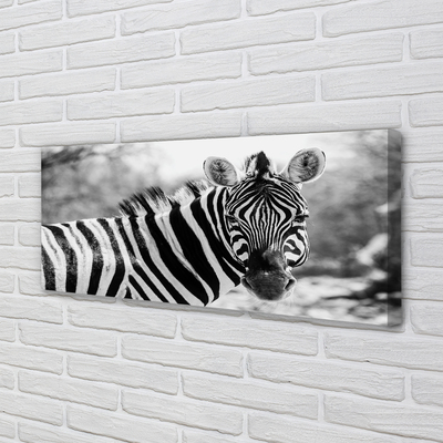 Bild canvas Retro zebra