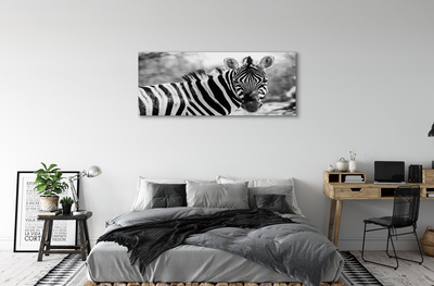 Bild canvas Retro zebra