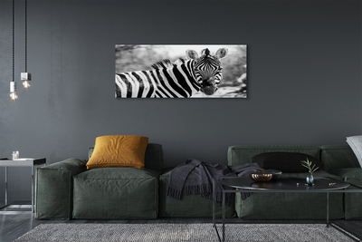 Bild canvas Retro zebra