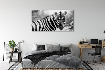 Bild canvas Retro zebra