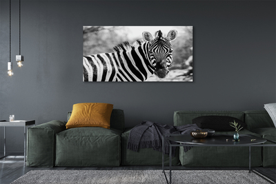 Bild canvas Retro zebra