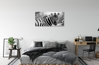 Bild canvas Retro zebra