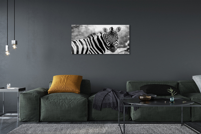 Bild canvas Retro zebra