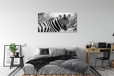 Bild canvas Retro zebra