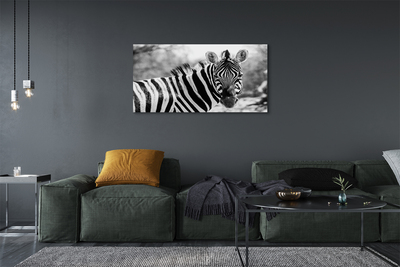 Bild canvas Retro zebra