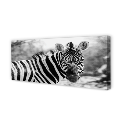 Bild canvas Retro zebra