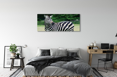 Foto till canvastavla Zebrafält