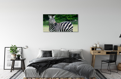 Foto till canvastavla Zebrafält