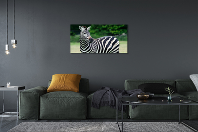 Foto till canvastavla Zebrafält