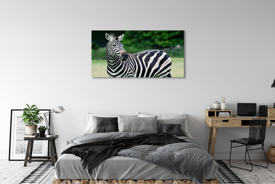 Foto till canvastavla Zebrafält