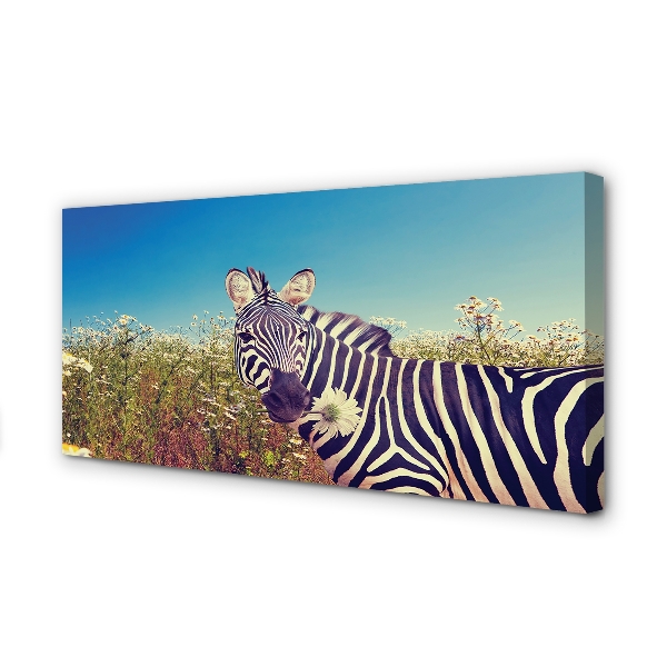 Canvas bild Zebra blommor