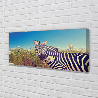 Canvas bild Zebra blommor