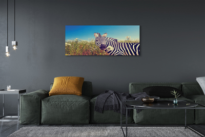 Canvas bild Zebra blommor