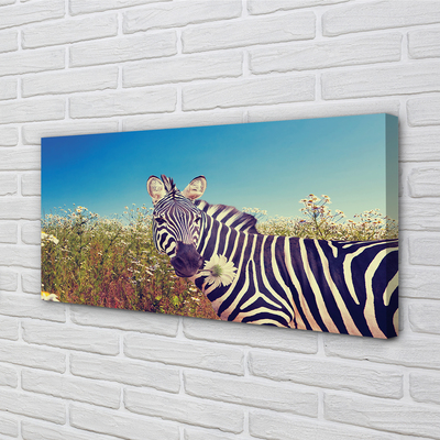 Canvas bild Zebra blommor