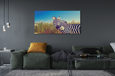 Canvas bild Zebra blommor