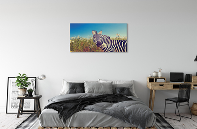 Canvas bild Zebra blommor