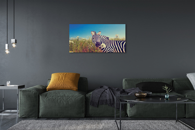 Canvas bild Zebra blommor