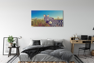 Canvas bild Zebra blommor