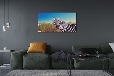 Canvas bild Zebra blommor