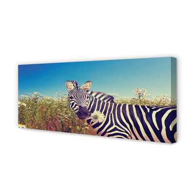 Canvas bild Zebra blommor